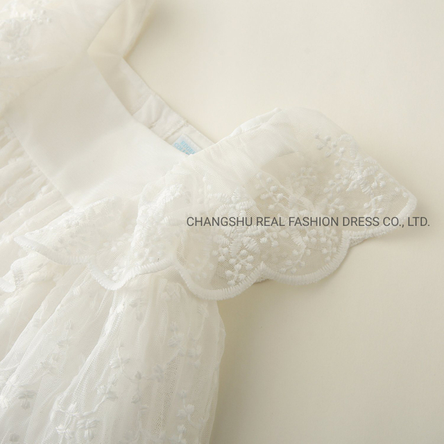 Newborn Baby Kids Children Fashion Clothing Infant Girl Woven Embroidery Dress with Lining